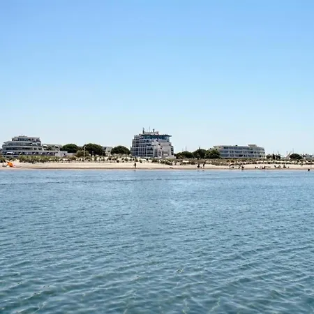 Climatise 3 Couchages Avec Terrasse Et Parking Prive - Port Camargue - Fr-1-731-92 Apartman