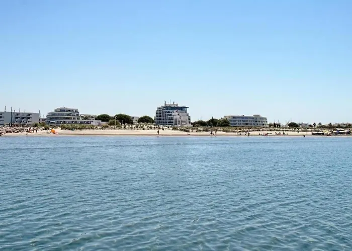 Climatise 3 Couchages Avec Terrasse Et Parking Prive - Port Camargue - Fr-1-731-92 Lägenhet